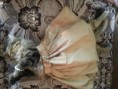/album/fotogaljerjeja/a20130224-171857-jpg/